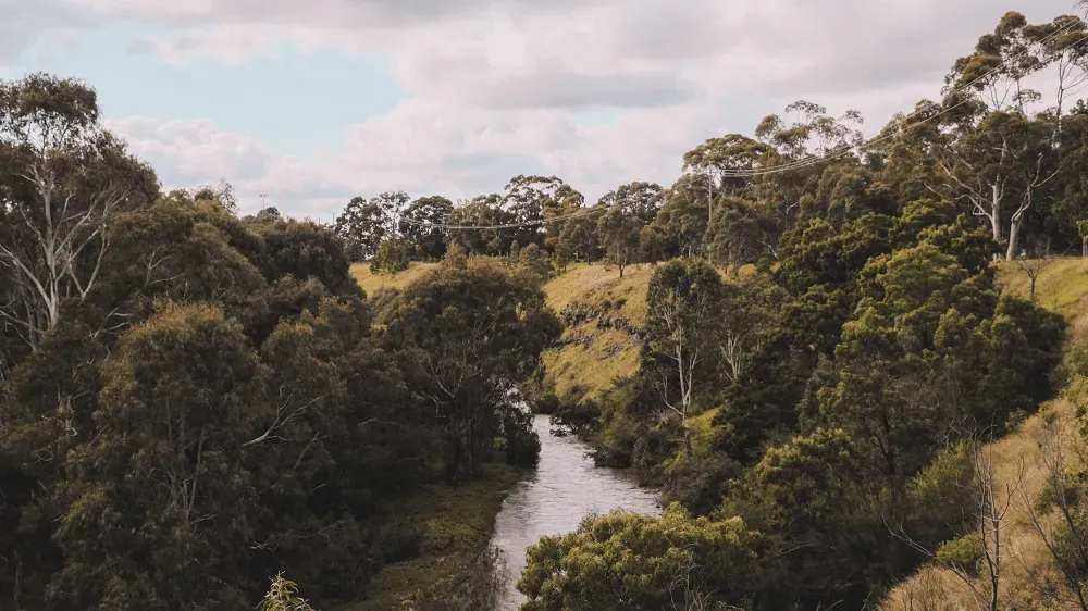 Tecnologia é criada para prever riscos de agressões à Amazônia