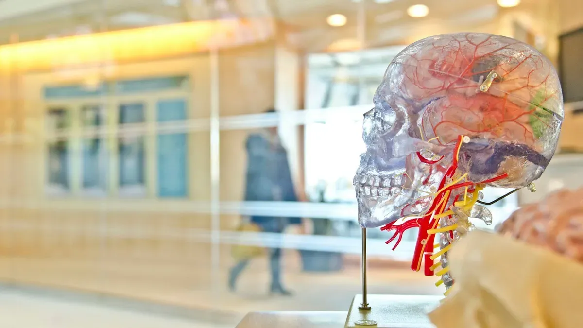Estímulo Cerebral: O Guia Definitivo para Compreender o Comportamento Social