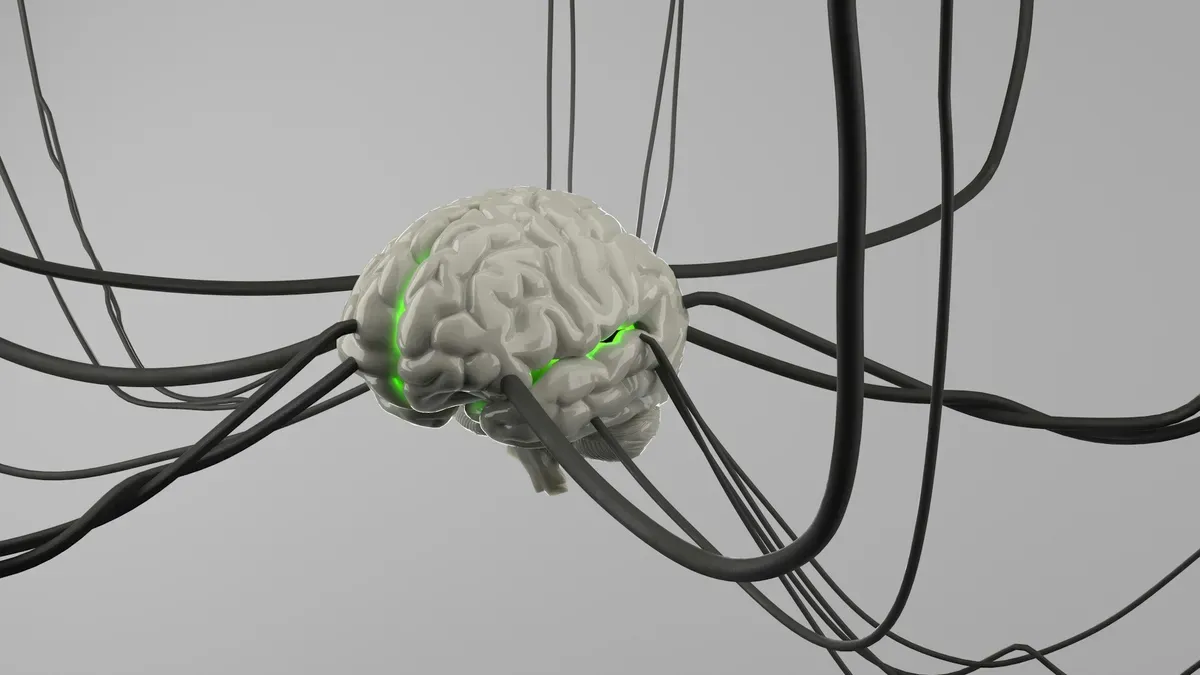 Neurociência e Psicologia: O Guia Definitivo para Compreender o Comportamento Humano