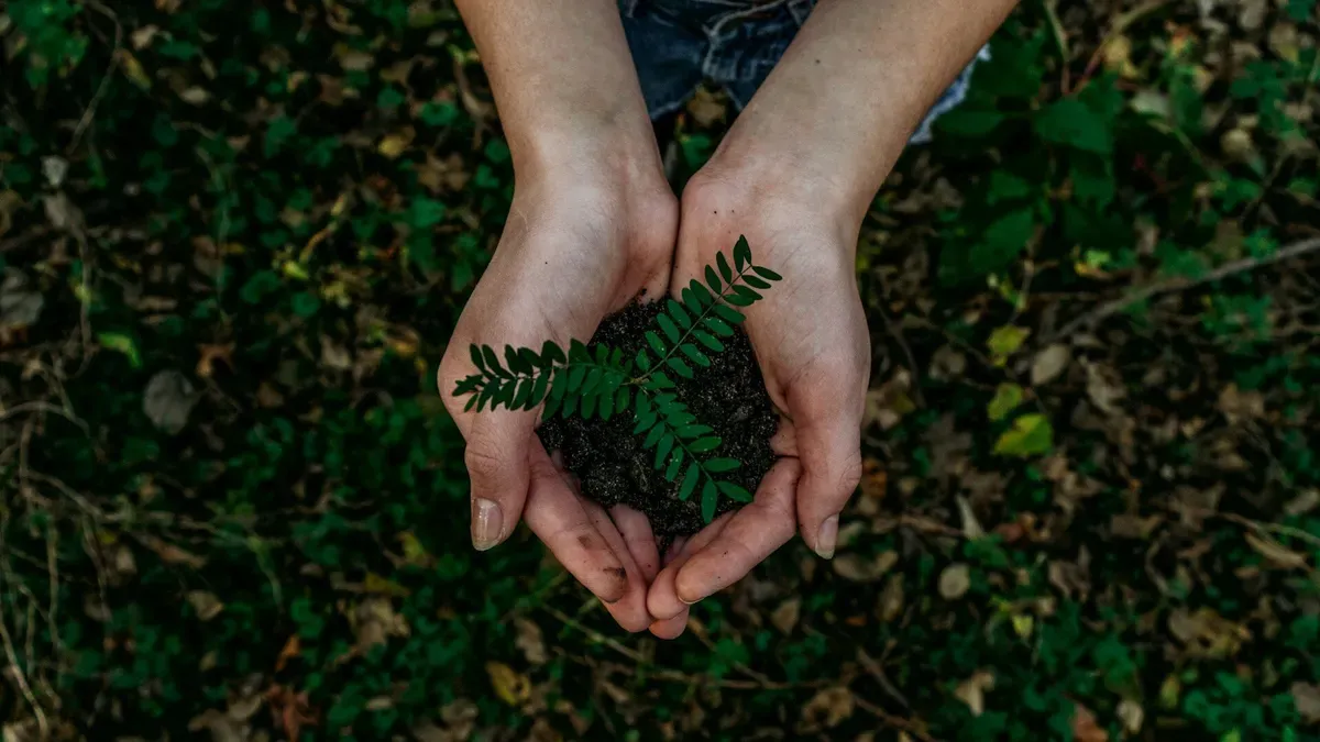 Certificação B: A Chave para Empresas Sustentáveis