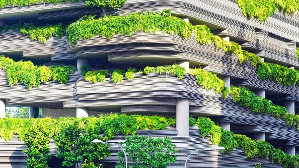 Teoria do Desapego: O Guia Definitivo para a Sustentabilidade