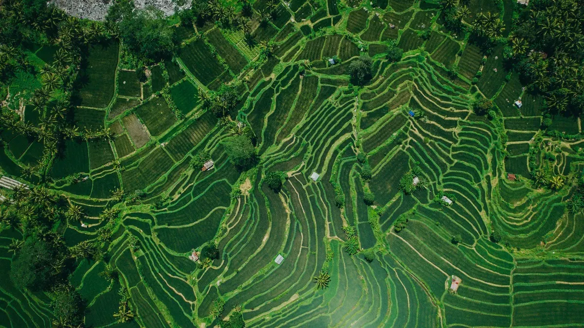 Dados Espaciais para Decisões Sustentáveis na Agricultura