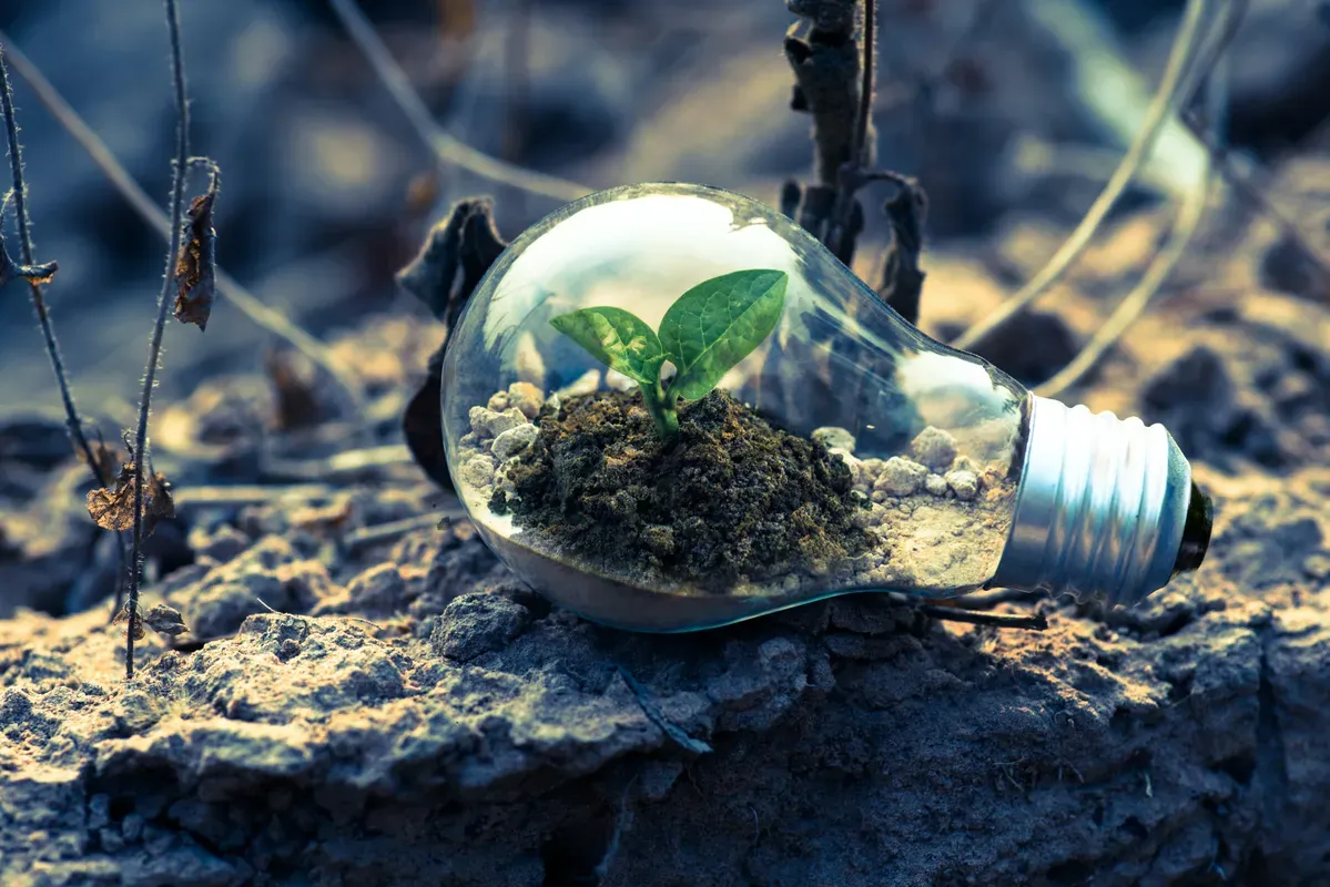 Panorama ESG Brasil: conheça o cenário de práticas de ESG no país