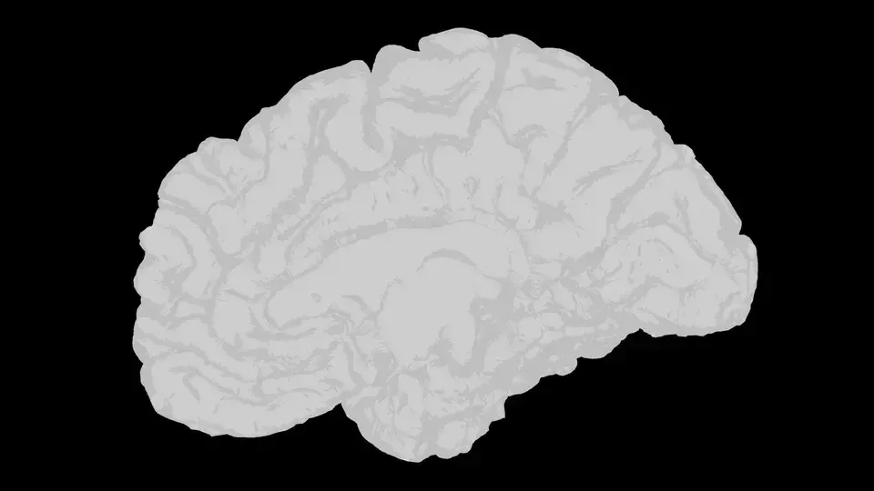 A transição do estigma: evolução no tratamento de transtornos mentais