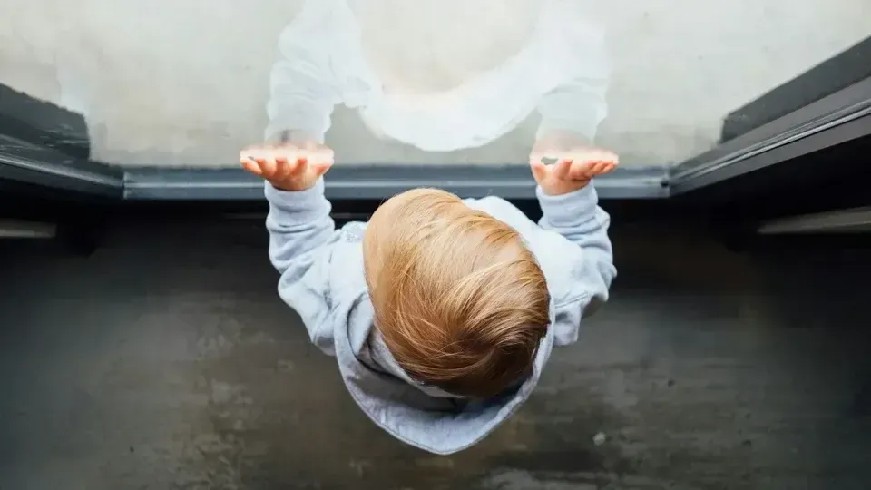 Teorias do desenvolvimento infantil: o que diz a neurociência moderna?