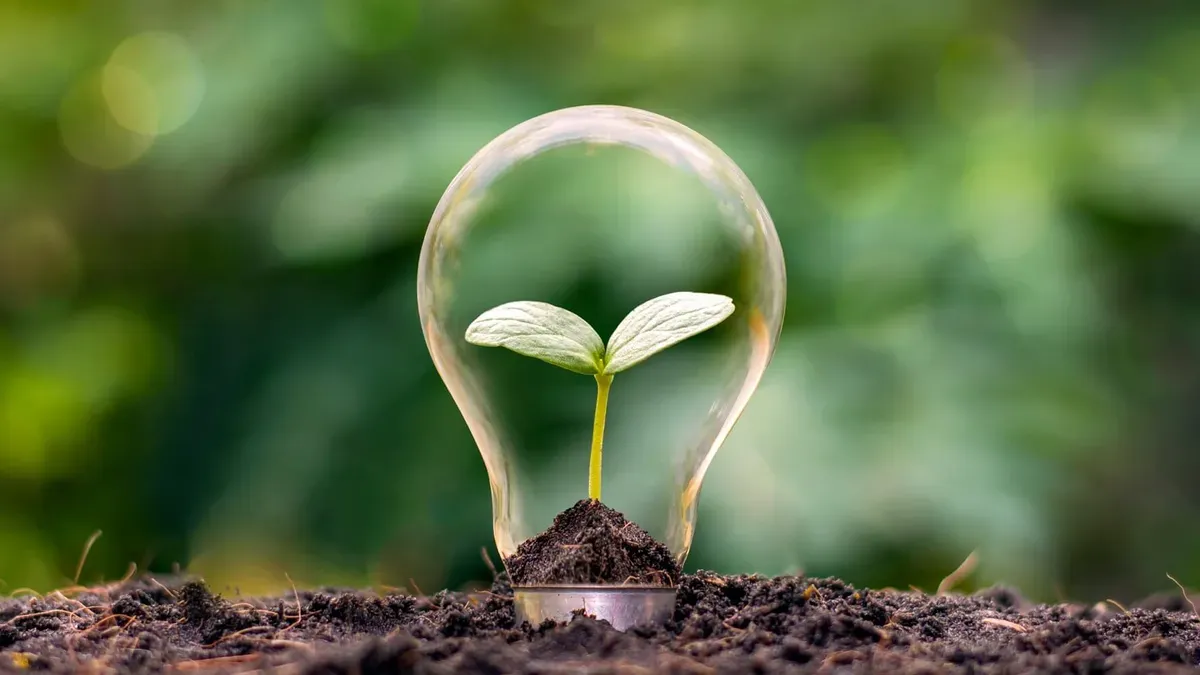 Economia circular: saiba o que é e conheça suas características