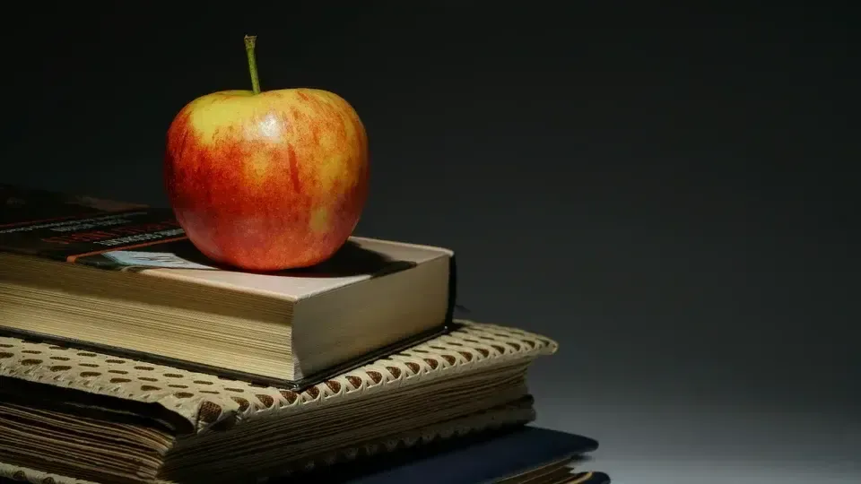 Trilhas de aprendizagem: aprenda em qualquer lugar!
