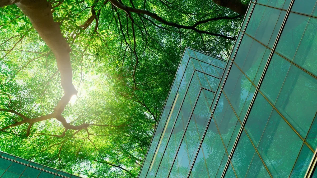 Inovação sustentável: entenda o conceito e como colocar em prática