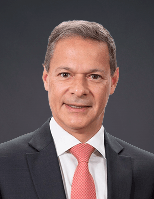 Renato Opice Blum