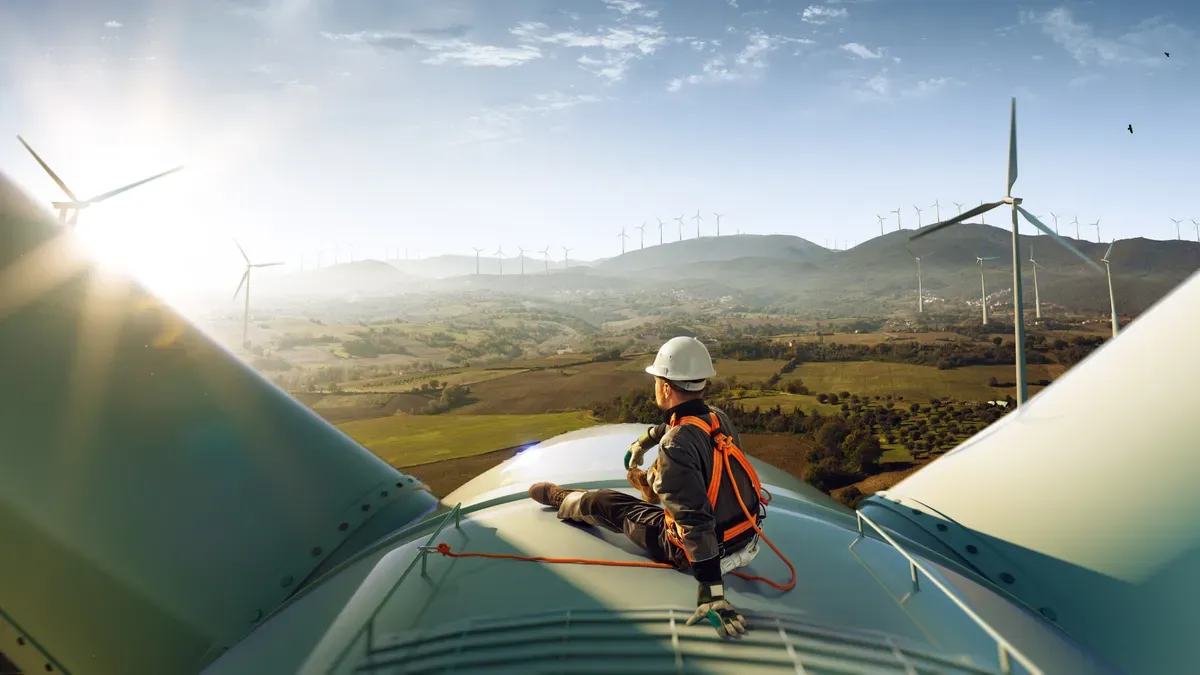 5 carreiras para seguir se você deseja trabalhar com o Meio Ambiente