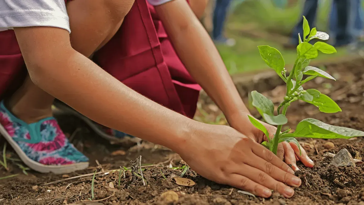 Meio ambiente: 4 conferências ambientais que revolucionaram o desenvolvimento sustentável