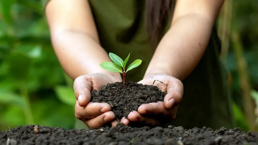 Empreendedorismo sustentável: o que é e por que colocá-lo em prática?