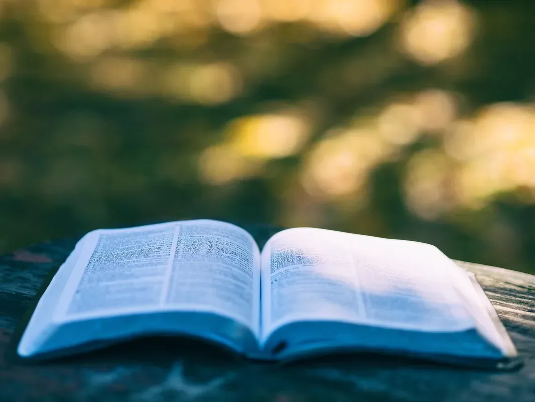 9 livros imperdíveis para desenvolver sua carreira