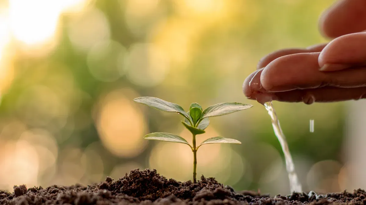 Inovação e sustentabilidade: greentechs usam a tecnologia a favor do meio ambiente